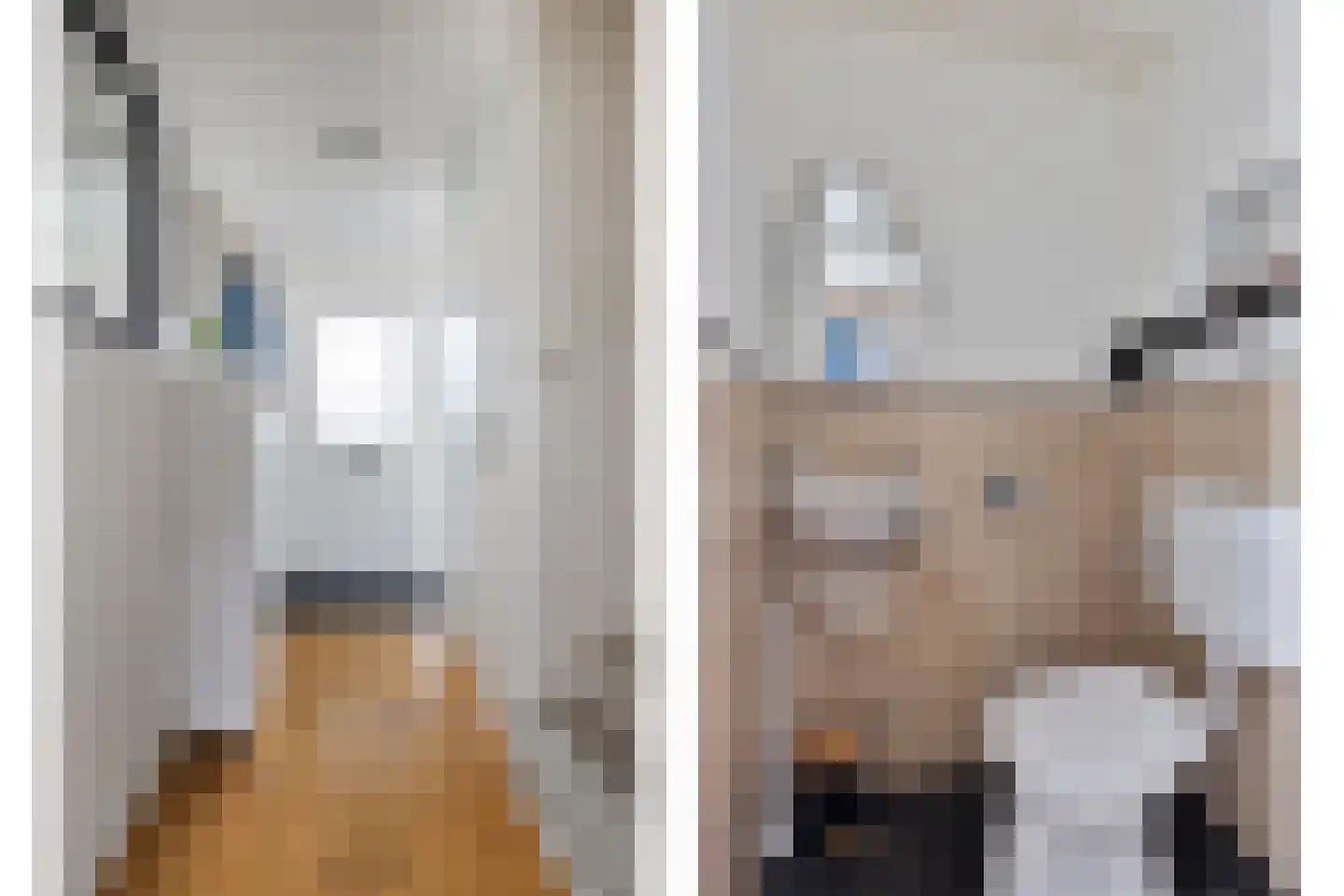 Steeneikzoom 14 Zoetermeer thumbnail 6