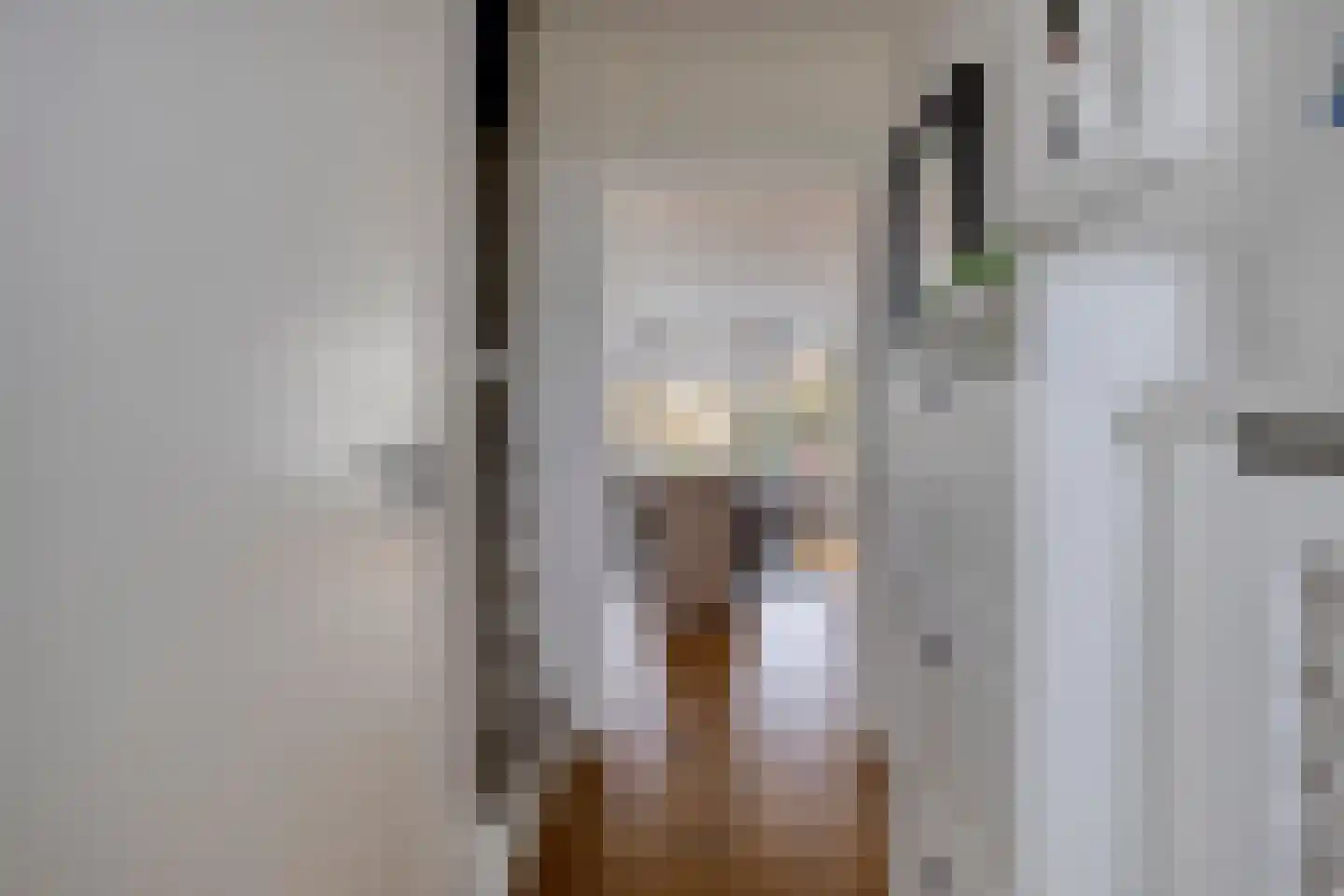 Steeneikzoom 14 Zoetermeer thumbnail 7