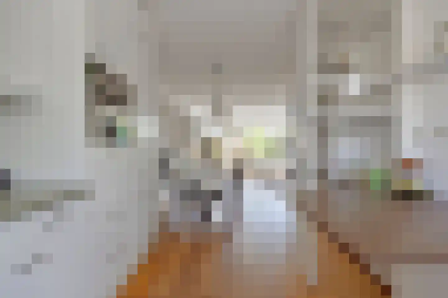 Steeneikzoom 34 Zoetermeer thumbnail 14