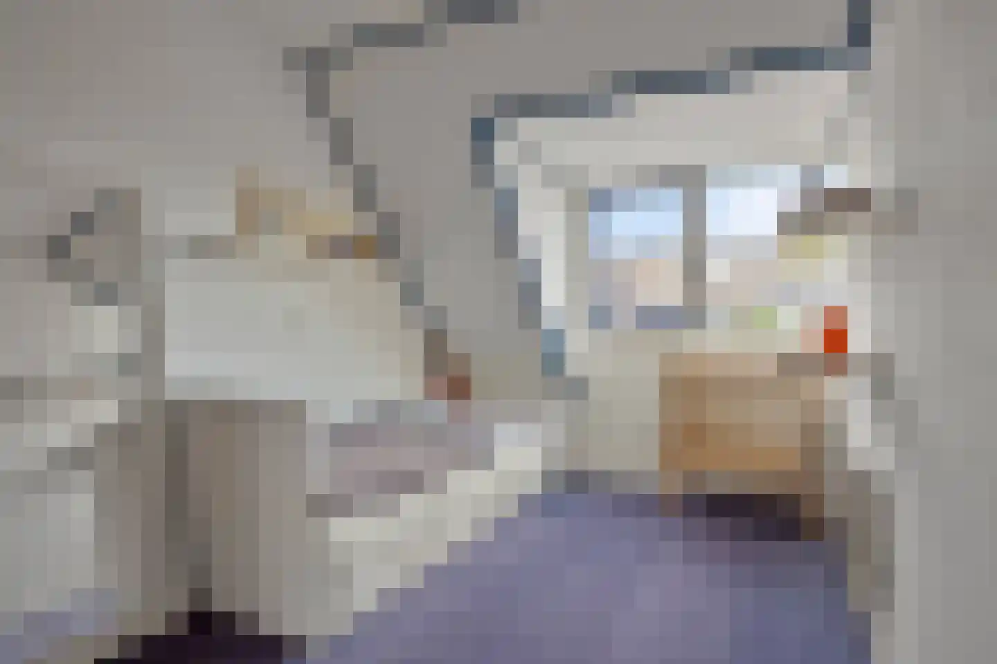Steeneikzoom 34 Zoetermeer thumbnail 20