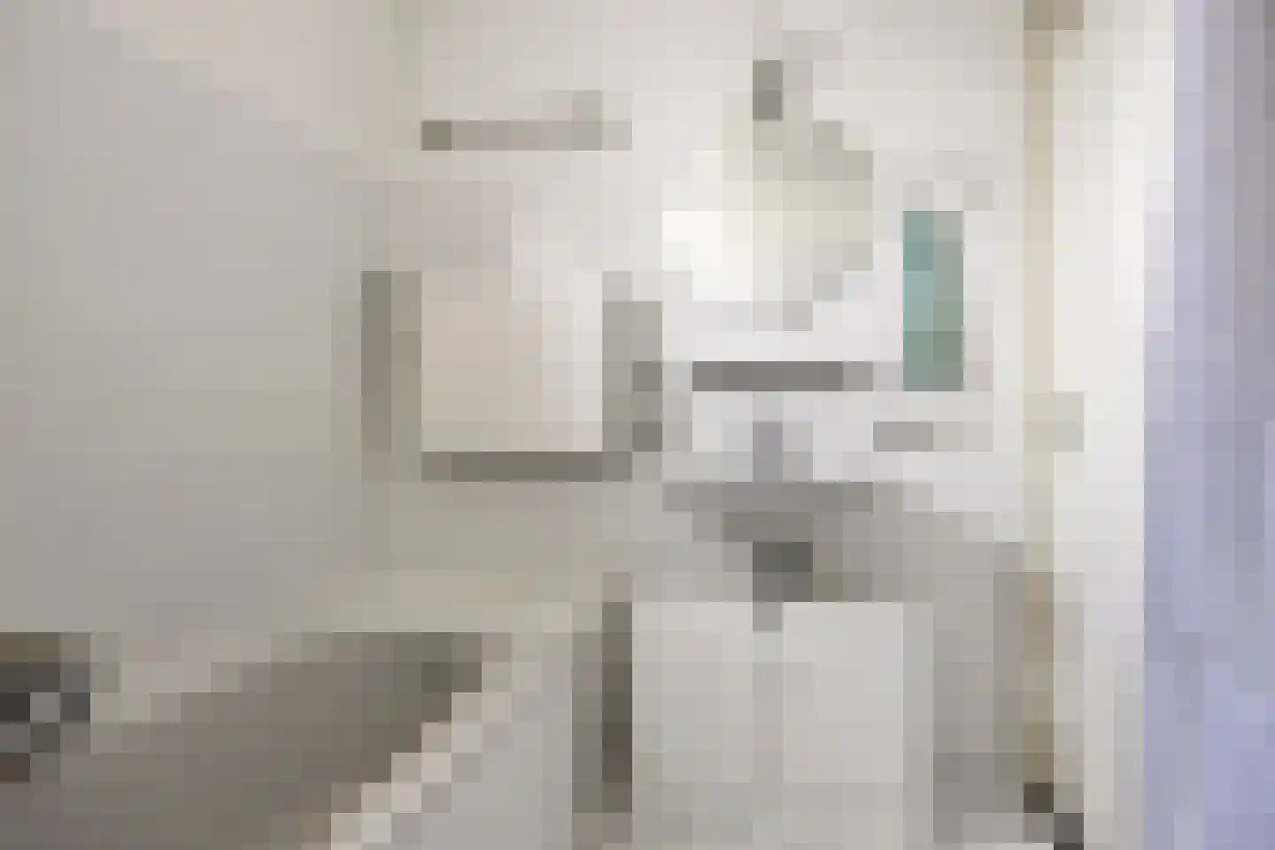 Steeneikzoom 34 Zoetermeer thumbnail 23