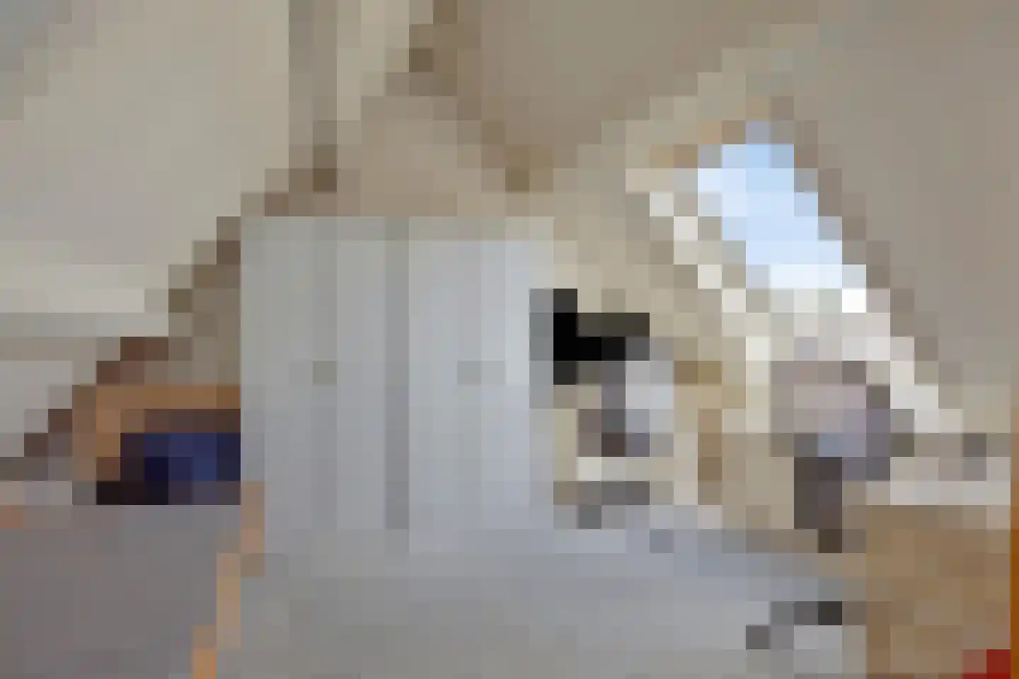 Steeneikzoom 34 Zoetermeer thumbnail 25