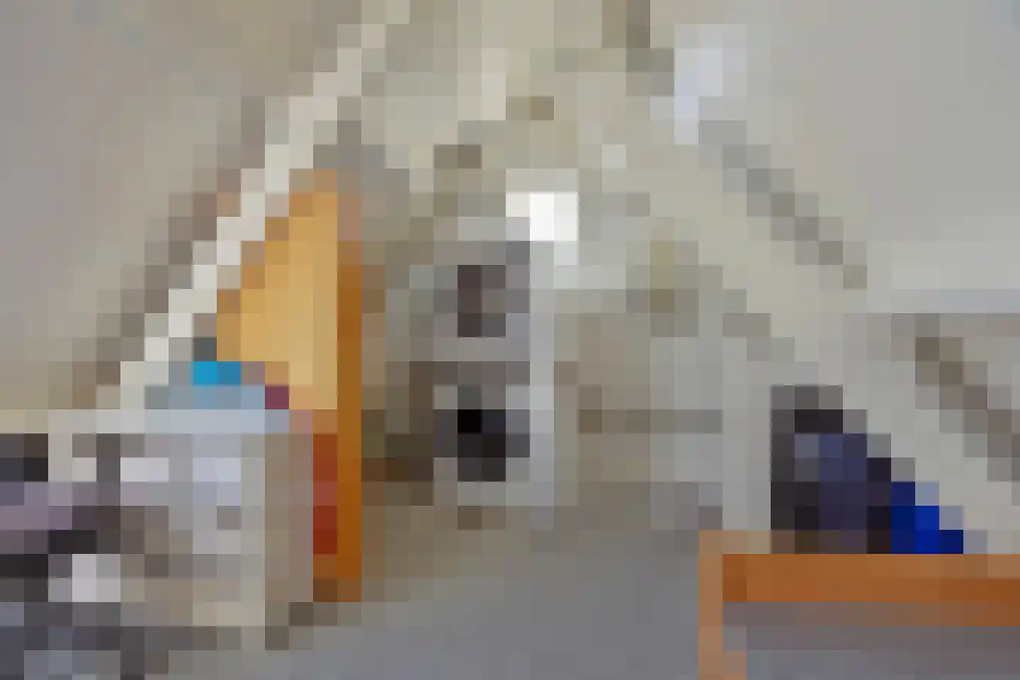 Steeneikzoom 34 Zoetermeer thumbnail 26
