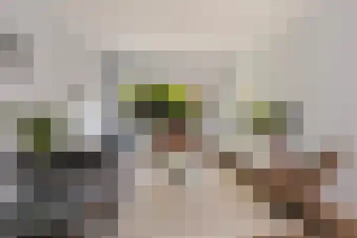Steenen Camer 37 Bilthoven thumbnail 11