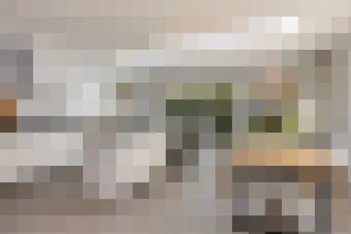Steenen Camer 37 Bilthoven thumbnail 14