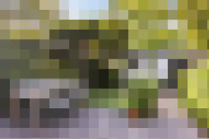 Steenen Camer 37 Bilthoven thumbnail 23