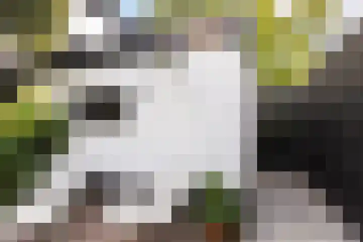 Steenen Camer 37 Bilthoven thumbnail 28
