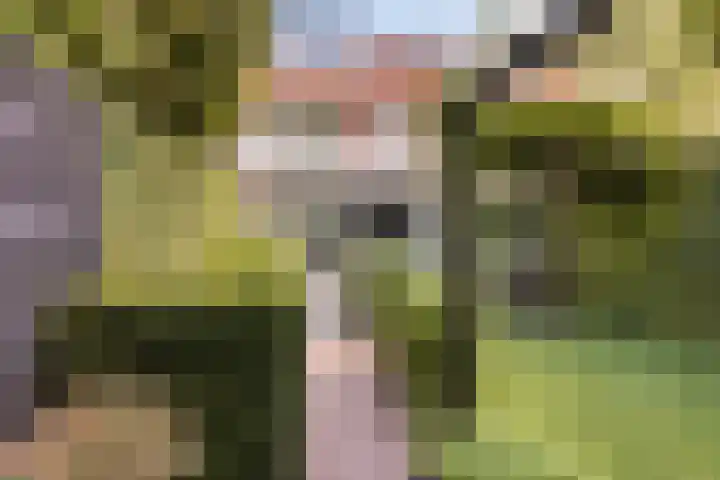 Steenen Camer 37 Bilthoven thumbnail 4