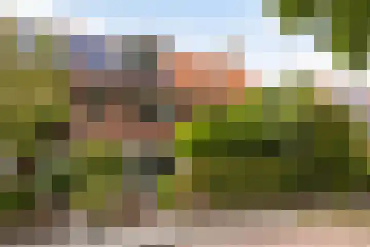 Steenen Camer 37 Bilthoven thumbnail 44