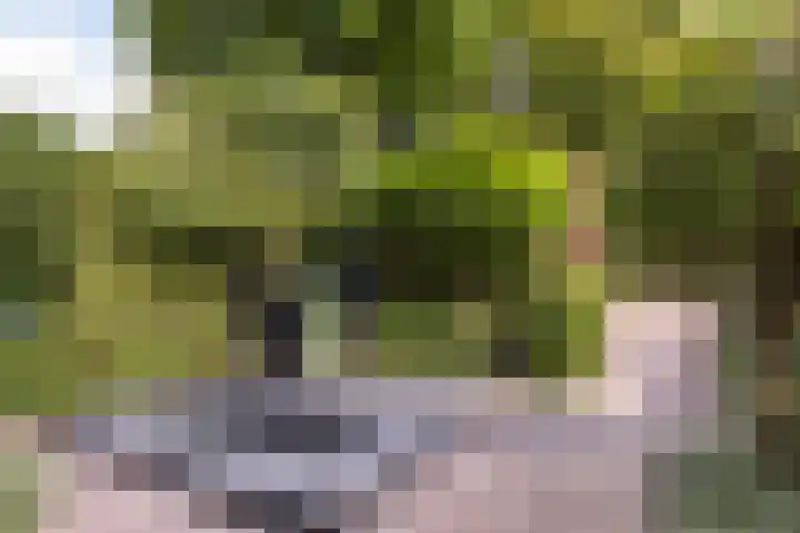 Steenen Camer 37 Bilthoven thumbnail 45