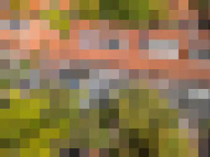 Steenen Camer 37 Bilthoven thumbnail 48