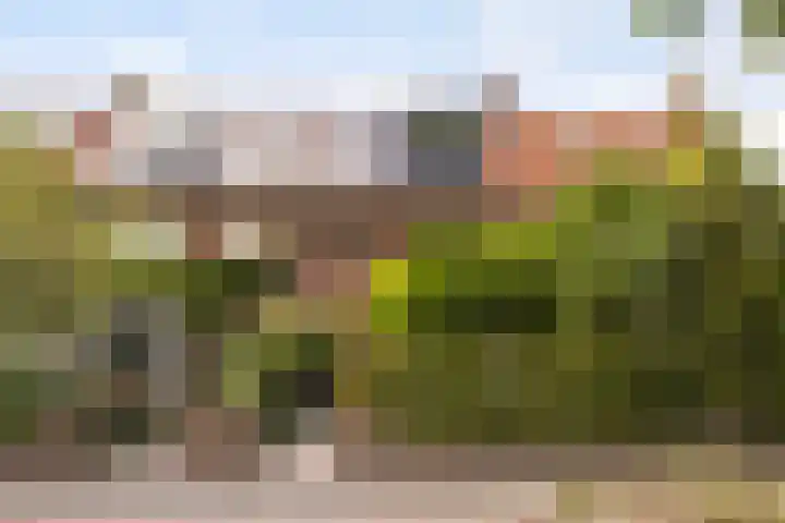 Steenen Camer 37 Bilthoven thumbnail 51
