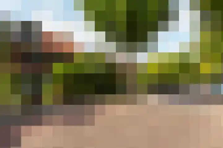 Steenen Camer 37 Bilthoven thumbnail 52