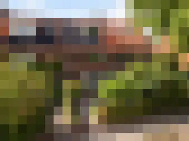 Steenen Camer 37 Bilthoven thumbnail 53