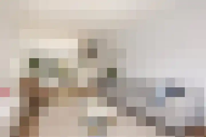 Steenen Camer 37 Bilthoven thumbnail 8