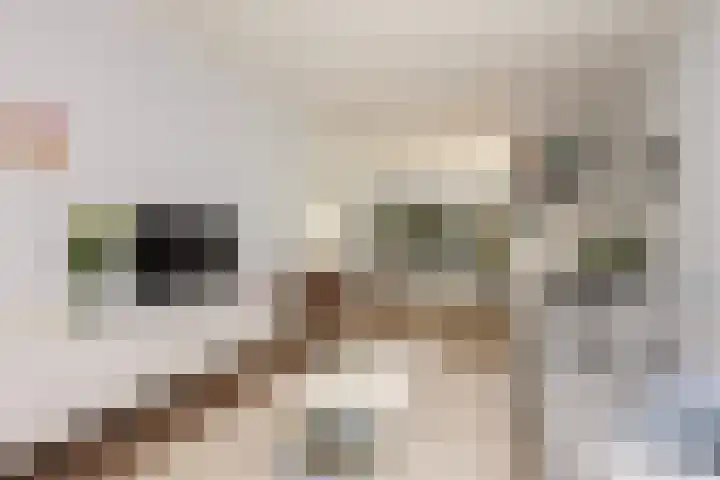 Steenen Camer 37 Bilthoven thumbnail 9