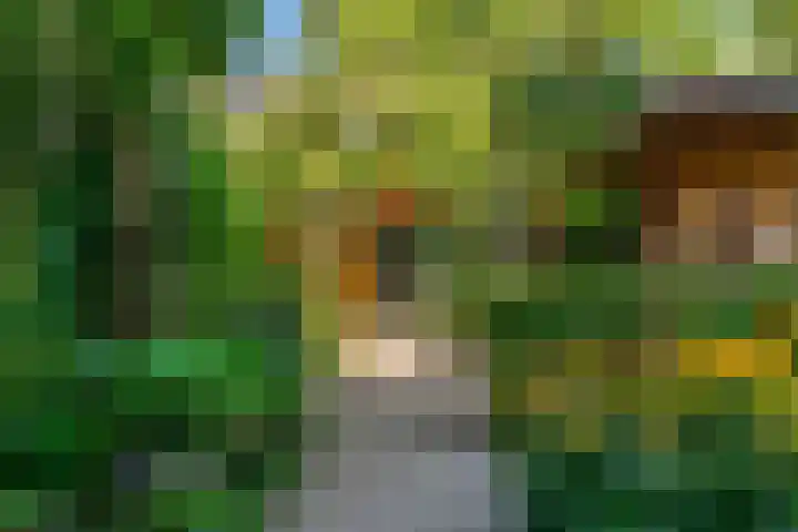 Steenen Camer 57 Bilthoven thumbnail 32