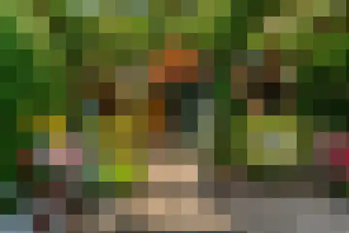 Steenen Camer 57 Bilthoven thumbnail 33