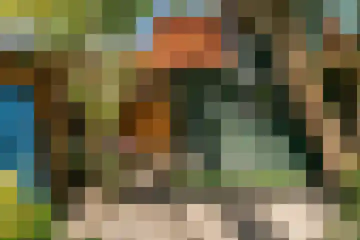 Steenen Camer 57 Bilthoven thumbnail 34
