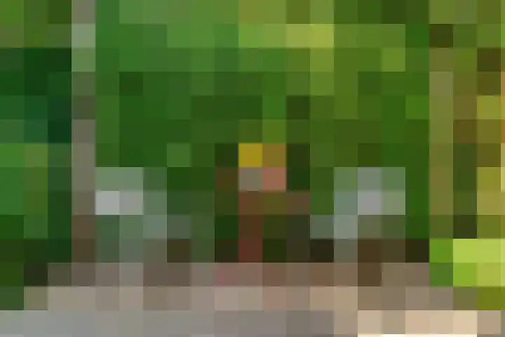 Steenen Camer 57 Bilthoven thumbnail 38