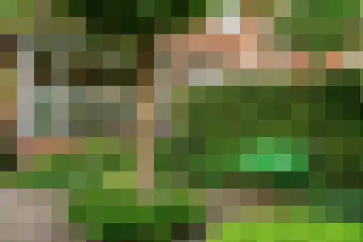 Steenen Camer 57 Bilthoven thumbnail 41