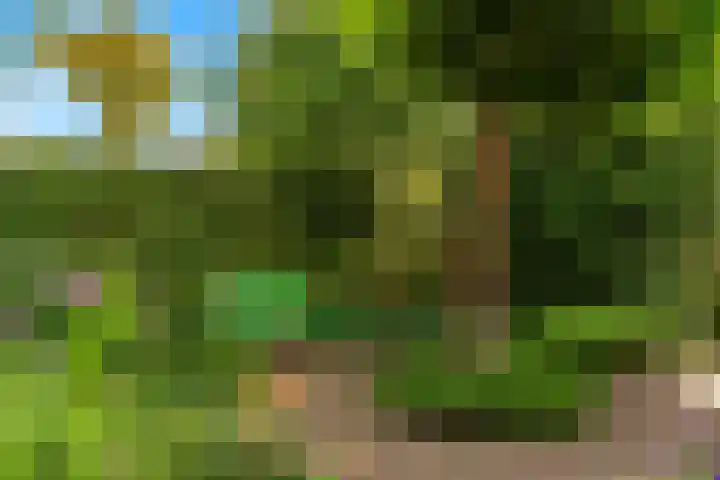 Steenen Camer 57 Bilthoven thumbnail 42