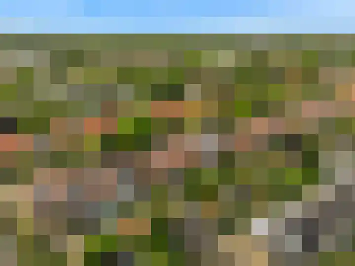 Steenen Camer 57 Bilthoven thumbnail 44