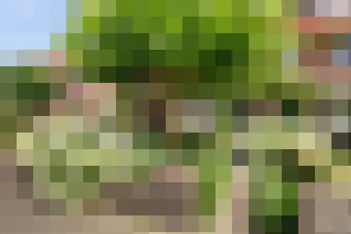 Steenen Camer 72 Bilthoven thumbnail 4