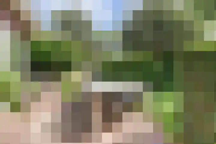 Steenen Camer 72 Bilthoven thumbnail 41