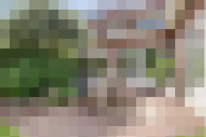 Steenen Camer 72 Bilthoven thumbnail 42