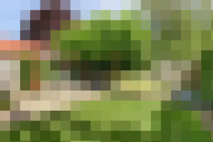 Steenen Camer 72 Bilthoven thumbnail 46