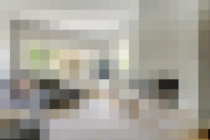 Steenen Camer 72 Bilthoven thumbnail 8