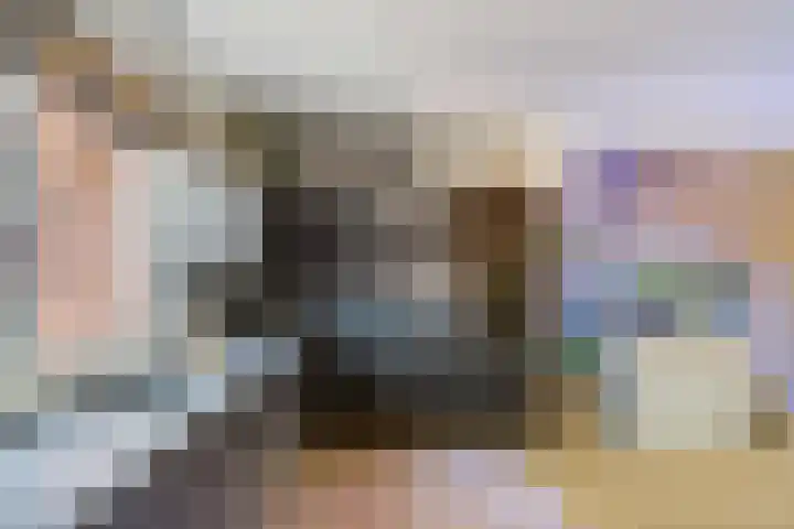 Steenen Dijck 12 Maassluis thumbnail 13