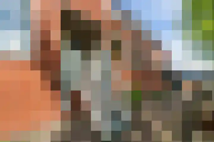 Steenen Dijck 12 Maassluis thumbnail 27