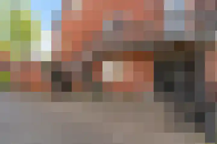 Steenen Dijck 12 Maassluis thumbnail 31