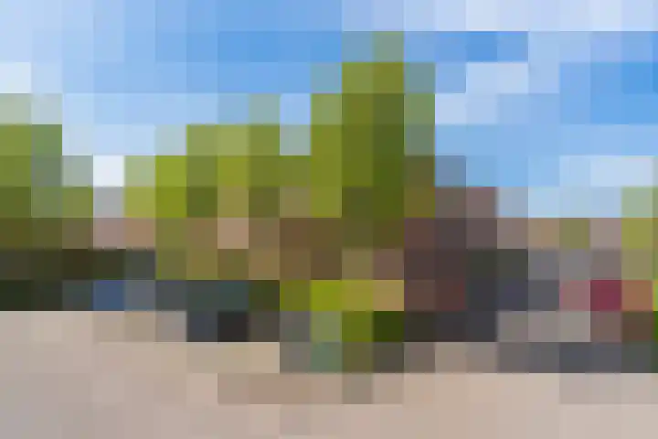 Steenen Dijck 12 Maassluis thumbnail 32