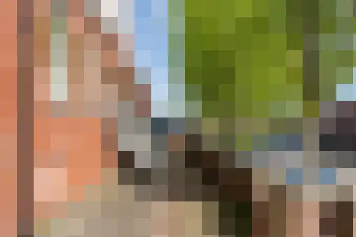 Steenen Dijck 12 Maassluis thumbnail 34