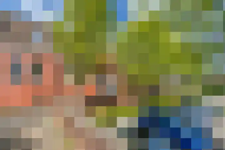 Steenen Dijck 12 Maassluis thumbnail 35