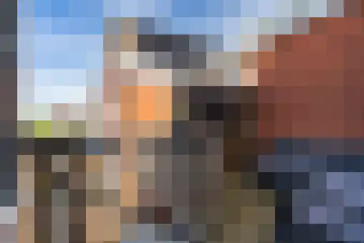 Steenen Dijck 12 Maassluis thumbnail 36