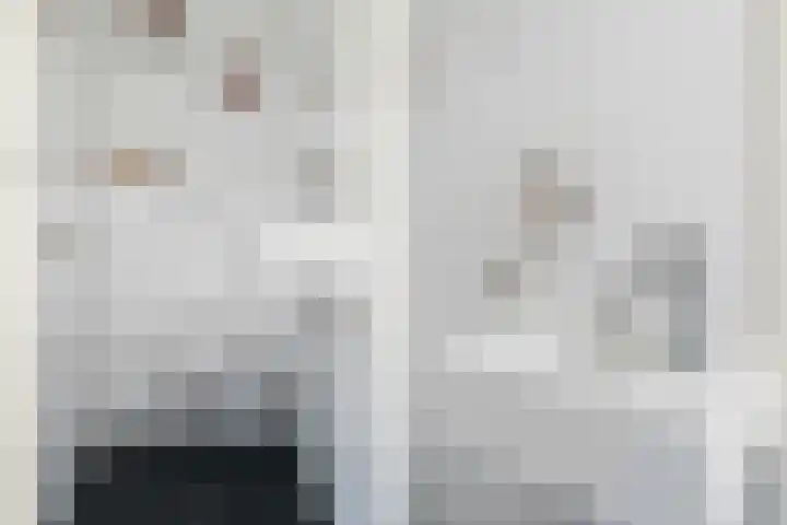 Steenen Dijck 12 Maassluis thumbnail 4