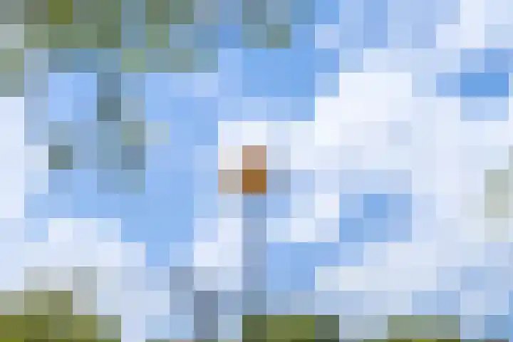 Steenen Dijck 12 Maassluis thumbnail 41