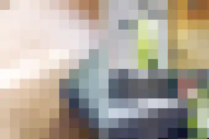 Steenen Dijck 12 Maassluis thumbnail 7