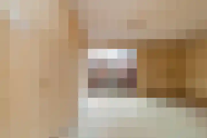Steenen Dijck 27 Maassluis thumbnail 12