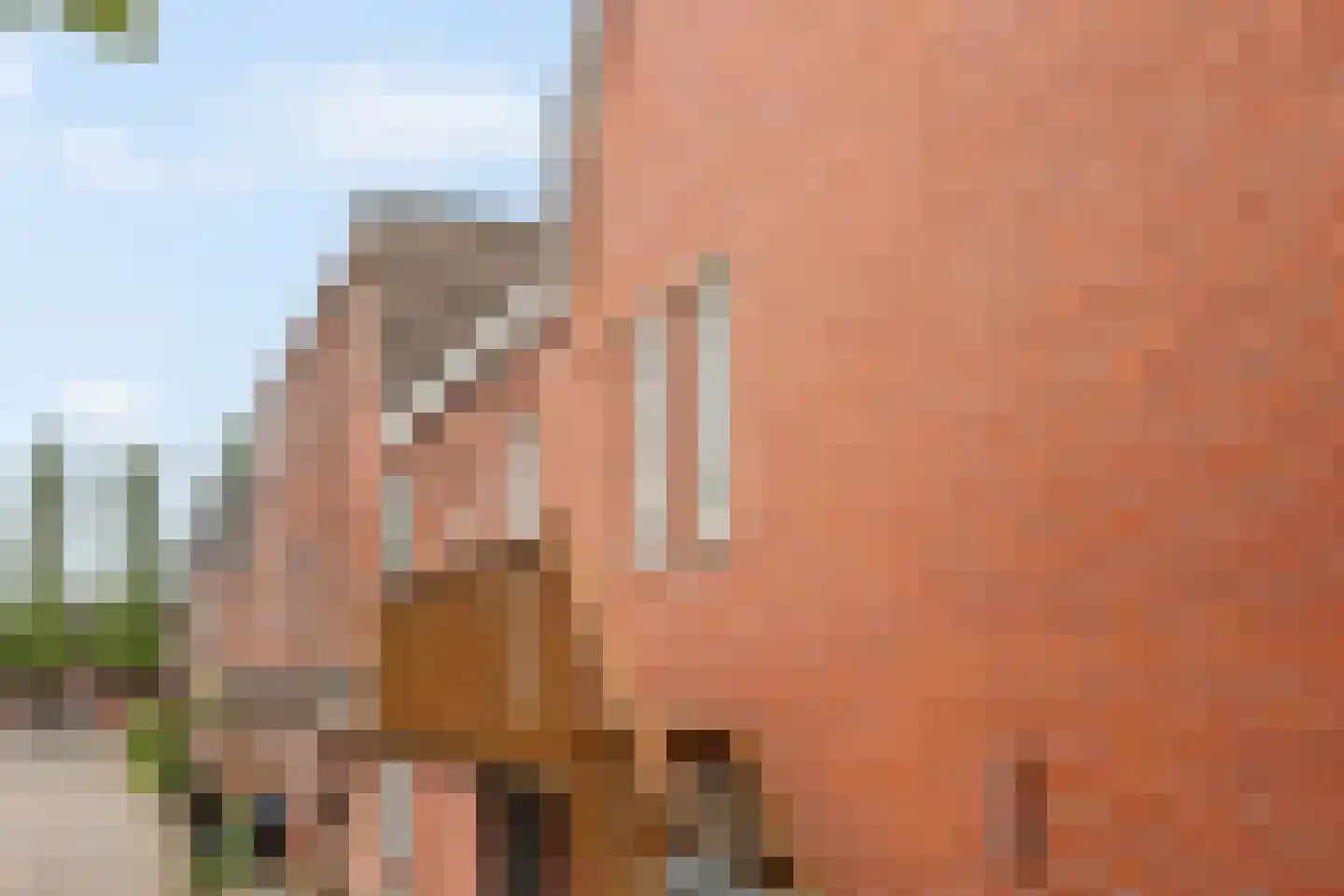 Steenen Dijck 27 Maassluis thumbnail 17