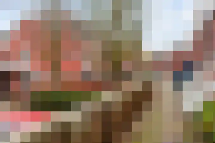 Steenen Dijck 27 Maassluis thumbnail 21