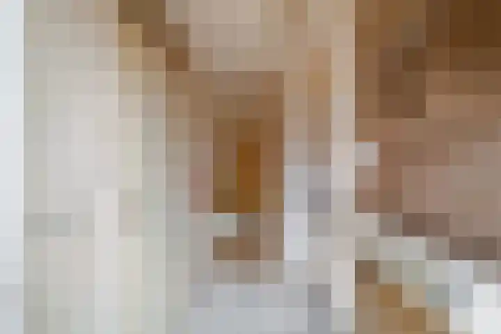 Steenen Dijck 27 Maassluis thumbnail 4