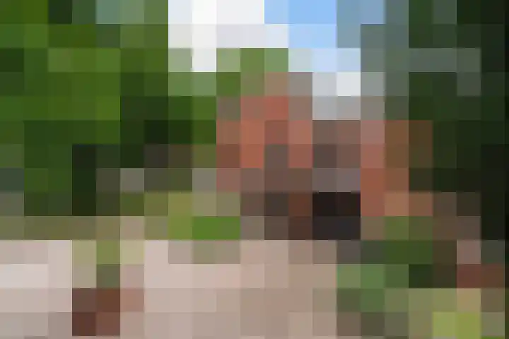 Steenen Dijck 65 Maassluis thumbnail 16