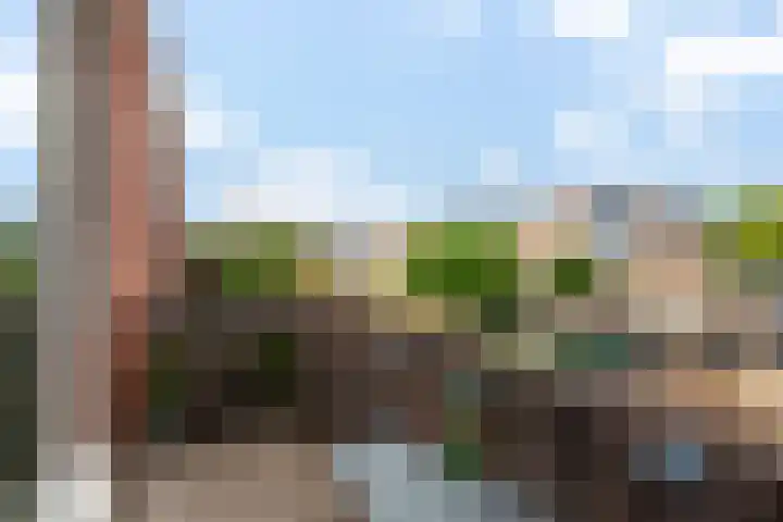 Steenen Dijck 68 Maassluis thumbnail 21