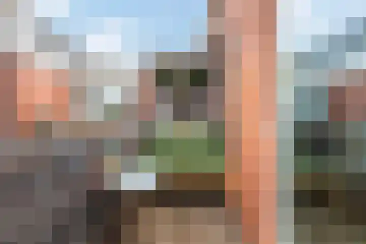 Steenen Dijck 68 Maassluis thumbnail 22