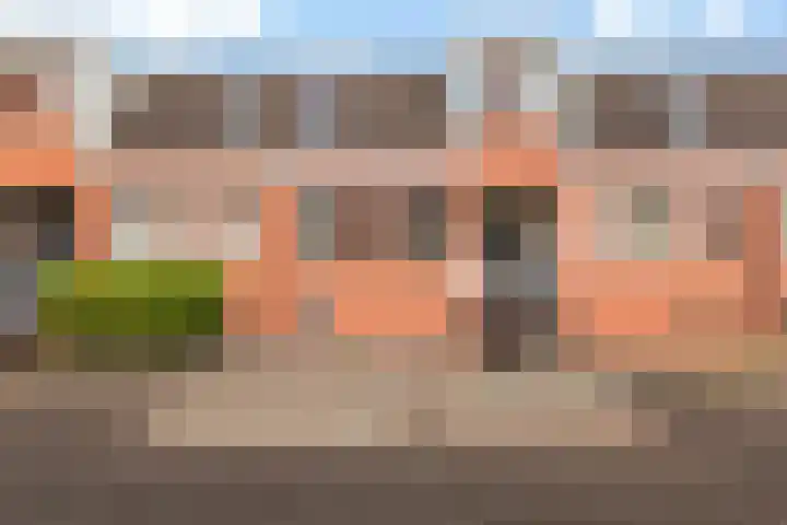 Steenen Dijck 68 Maassluis thumbnail 8
